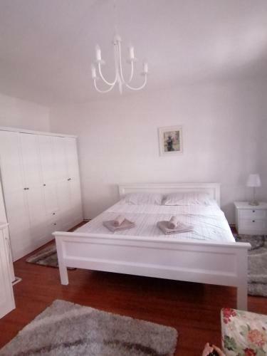 Studio Apartment Zagorka Tkal?i?eva Street