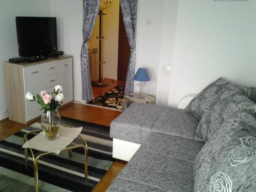 Apartments With Wifi Zagreb - 15507