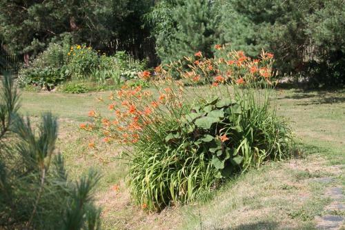 Bed & Breakfast Vytauto Bamso Sodyba