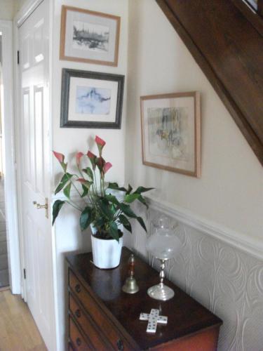 Hostal Amber House