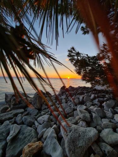 Orkula Hidden Paradise- Robinson Holiday House