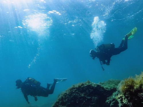 Holiday Home Mon Perin - Roj610