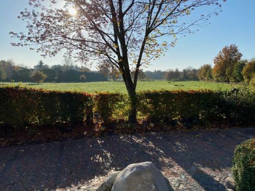 Apartamento Ferien-am-uhlenmeer