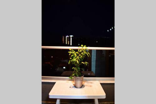 Apartamento New Studio/comfy/near Bus Station