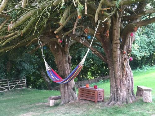 Hostal Worralls Grove Farm House Bed & Breakfast