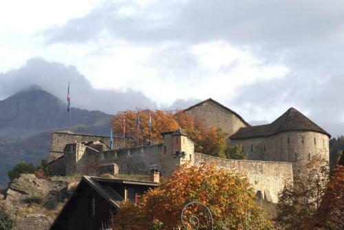 Apartamento Studio Chaleureux � La Foux D?allos
