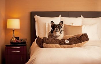 Hotel Grand Hyatt S�o Paulo