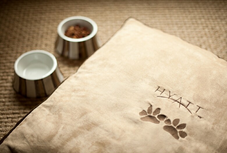 Hotel Grand Hyatt S�o Paulo