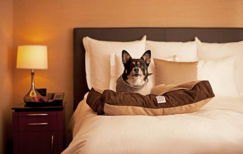 Hotel Grand Hyatt S�o Paulo