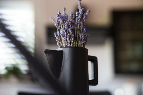 Officinalis - Family Vacation House