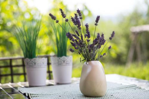 Officinalis - Family Vacation House