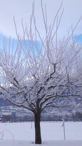 Bed & Breakfast La Locanda Del Mulino
