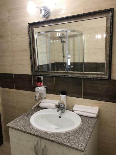 Hostal Pensiunea Montana Bor?a Mm