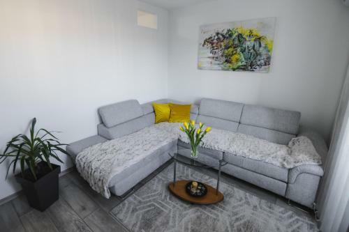 Apartman Iskra
