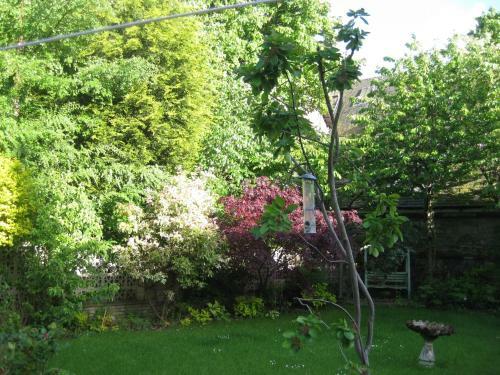 Apartamentos Newhall