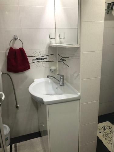 Apartamento Garsoniera Aleea Trandafirilor