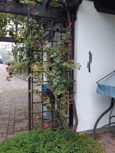 Apartamento Studio In Delnice - Gorski Kotar 40642