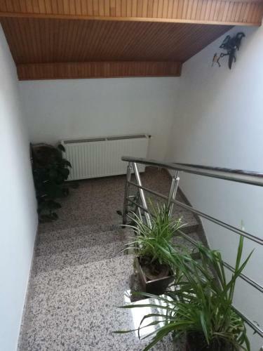 Apartamento Drago Kremenja?