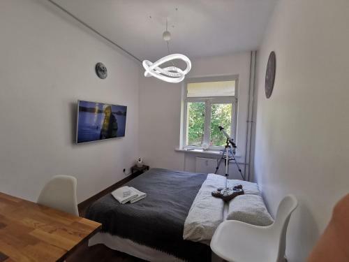 Galaxy Apartment