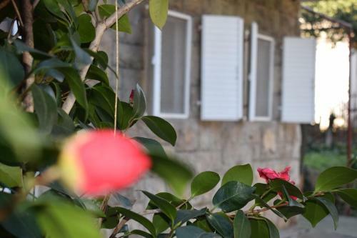 Apartamento Old Town Studios