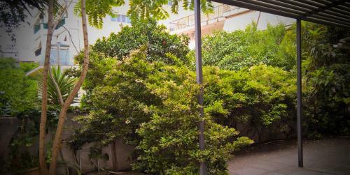 Apartamento Minimal Studio In Paleo Faliro