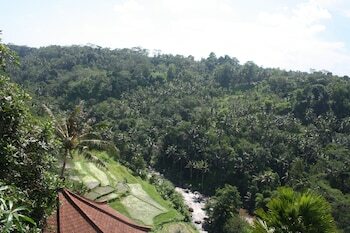 Hotel Kupu Kupu Barong Villas & Tree Spa