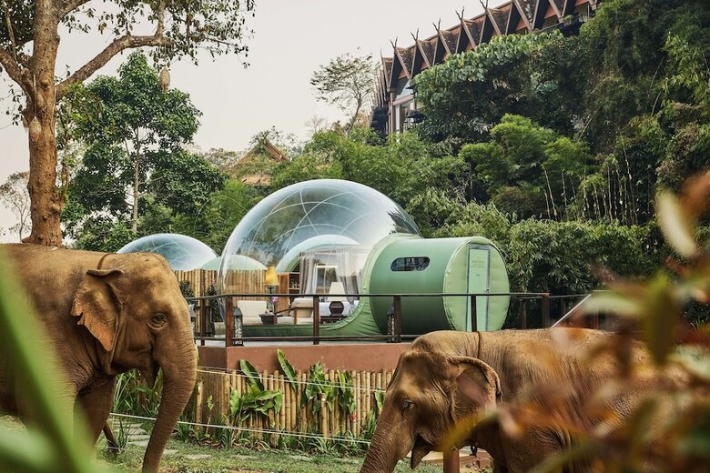 Hotel Anantara Golden Triangle Resort  Spa