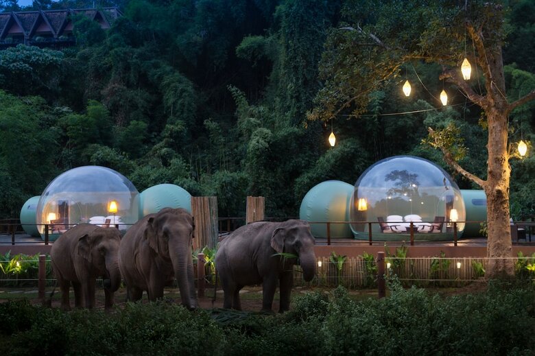 Hotel Anantara Golden Triangle Resort  Spa