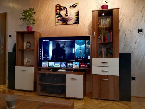 Apartman Villa Cacak