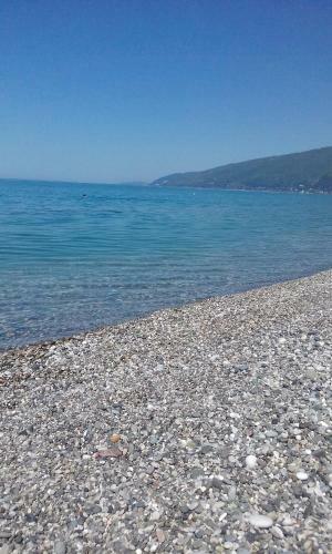 Apartment U Morya
