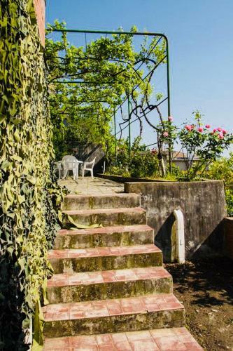 Private House Under The Key Amra