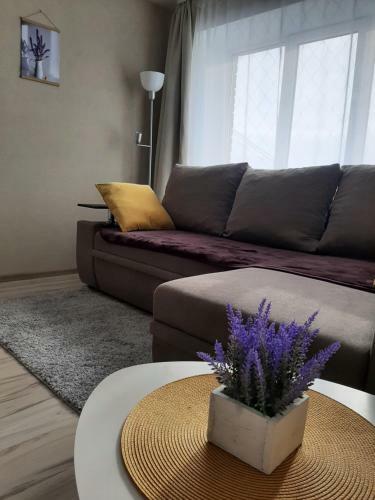 Ir Apartment