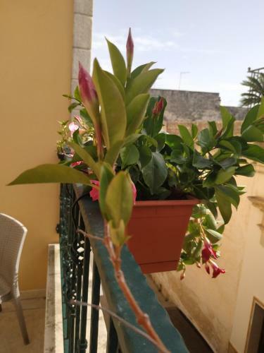 Bed & Breakfast Il Vicoletto