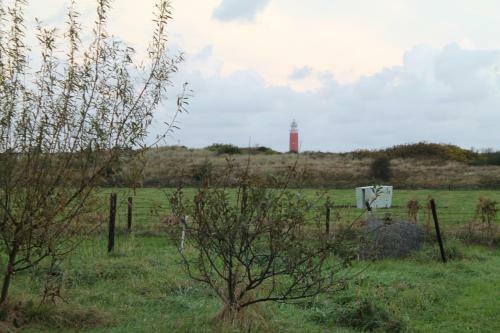Apartamento Boerderij de Duinen 111