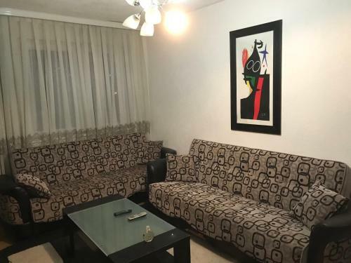 Pristina City Center Apartment