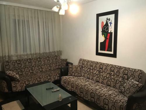 Pristina City Center Apartment
