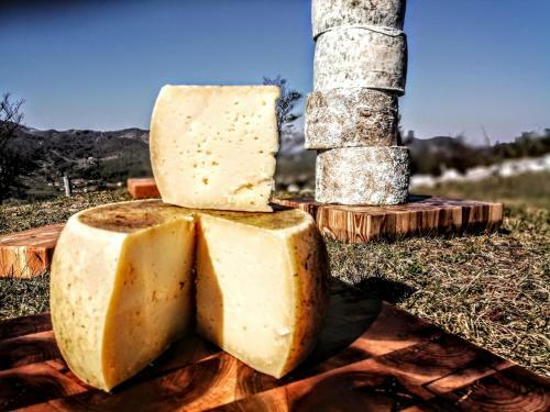 Apartamento Villa Irena Charming Gem Located In Vipava Valley