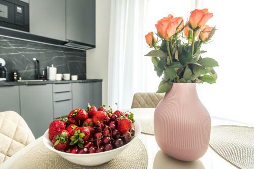 New Modern Studio Apartment In The Old Town Riga