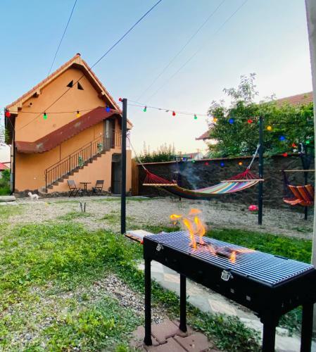 Apartament Central In Blaj Cu Gratar Si Gradina