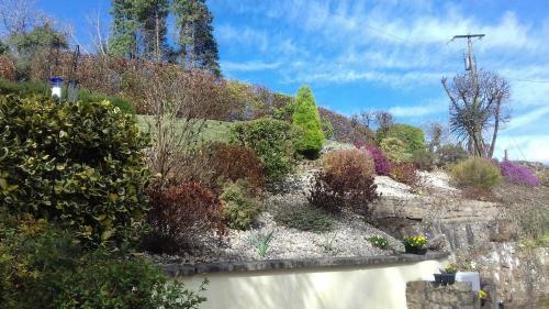 Hostal Spring Grove Guesthouse