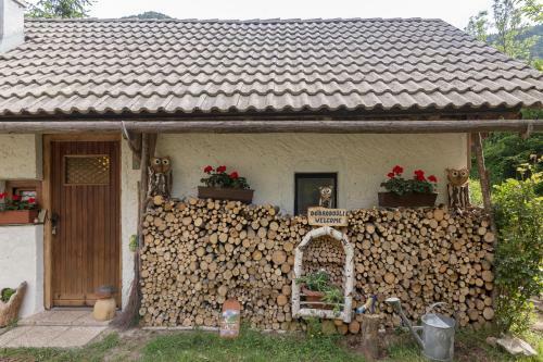 Bohinj House Lizina Hi?ka