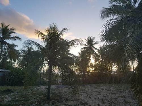 Apartamento Rosagash Paradise - Praia de Santo Antonio