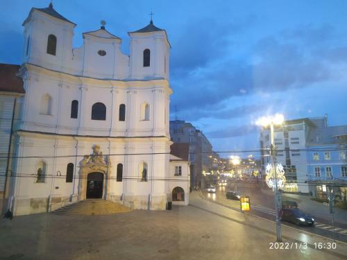Apartamento Kr�sny Byt S V�h?admi V Historickom Centre