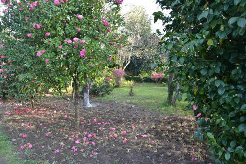 Bed & Breakfast Quinta D'av� Am�lia