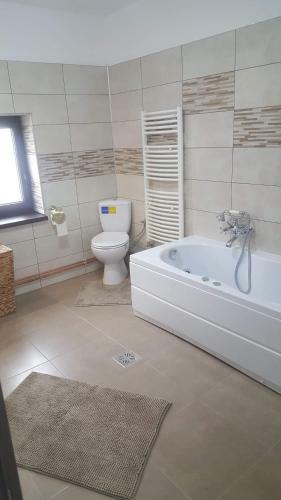 Hostal Pensiunea Casa Firuta Borsa