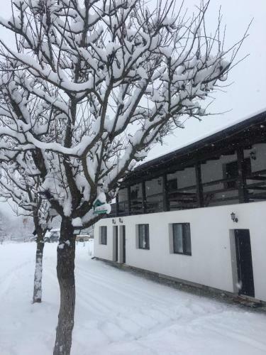 Hostal Pensiunea Casa Firuta Borsa