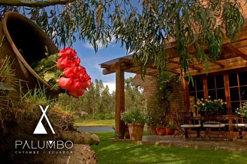 Hostal Villas Palumbo