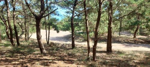 Chalet de Vacaciones Con Tu Mascota
