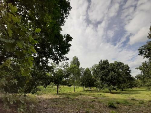 Agroturismo Zacisze U Rysia