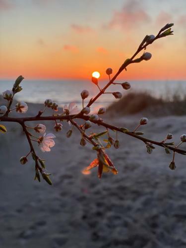 Saul?s Spindulio Apartamentai